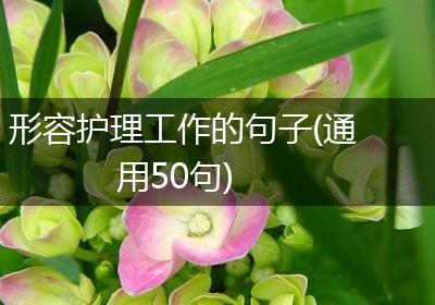 形容护理工作的句子(通用50句)