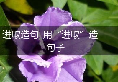 进取造句_用“进取”造句子