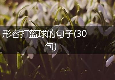 形容打篮球的句子(30句)