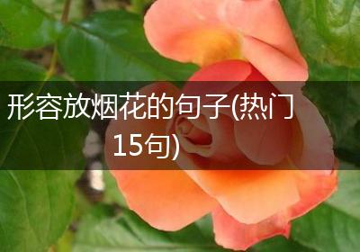 形容放烟花的句子(热门15句)