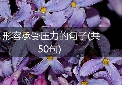 形容承受压力的句子(共50句)