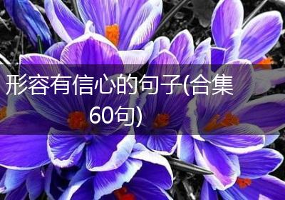 形容有信心的句子(合集60句)