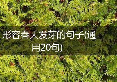 形容春天发芽的句子(通用20句)