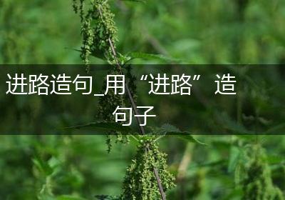 进路造句_用“进路”造句子