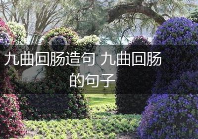 九曲回肠造句 九曲回肠的句子