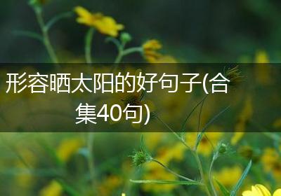 形容晒太阳的好句子(合集40句)