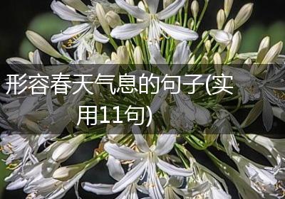 形容春天气息的句子(实用11句)