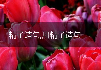 精子造句,用精子造句