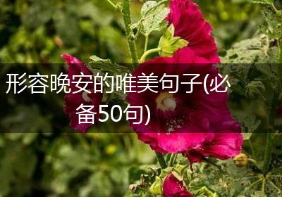 形容晚安的唯美句子(必备50句)