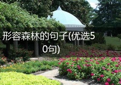 形容森林的句子(优选50句)