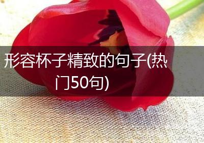 形容杯子精致的句子(热门50句)