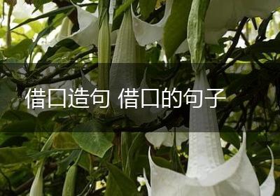 借口造句 借口的句子