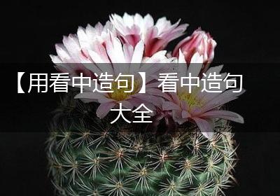 【用看中造句】看中造句大全