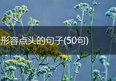 形容点头的句子(50句)