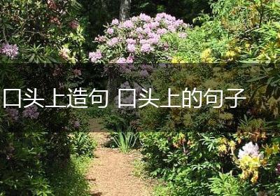 口头上造句 口头上的句子