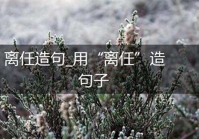 离任造句_用“离任”造句子
