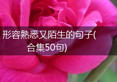 形容熟悉又陌生的句子(合集50句)