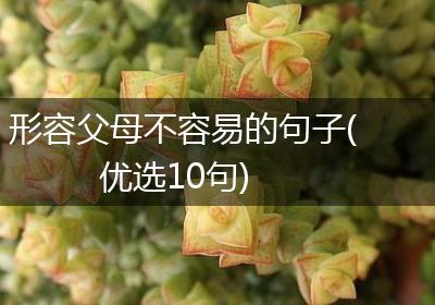 形容父母不容易的句子(优选10句)