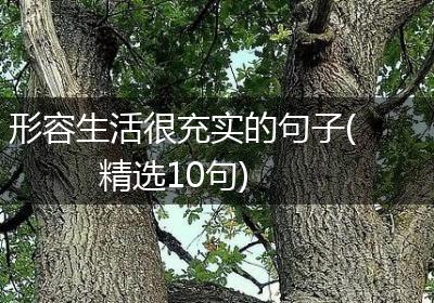 形容生活很充实的句子(精选10句)