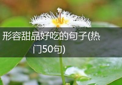 形容甜品好吃的句子(热门50句)