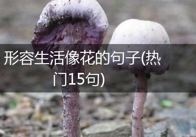 形容生活像花的句子(热门15句)