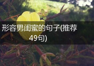 形容男闺蜜的句子(推荐49句)