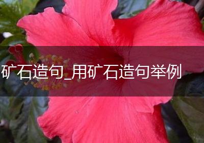 矿石造句_用矿石造句举例