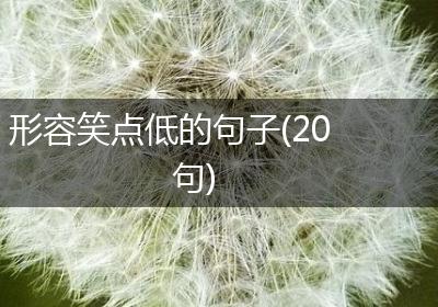 形容笑点低的句子(20句)