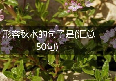 形容秋水的句子是(汇总50句)
