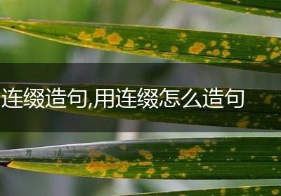 连缀造句,用连缀怎么造句