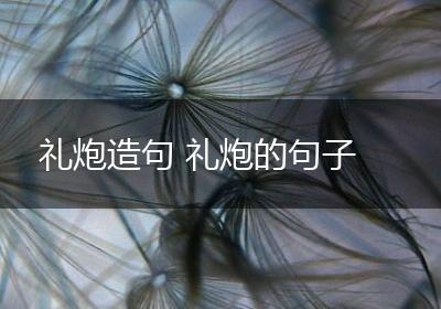 礼炮造句 礼炮的句子