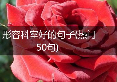 形容科室好的句子(热门50句)