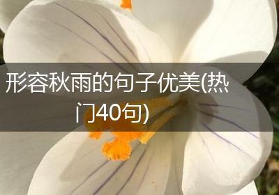 形容秋雨的句子优美(热门40句)