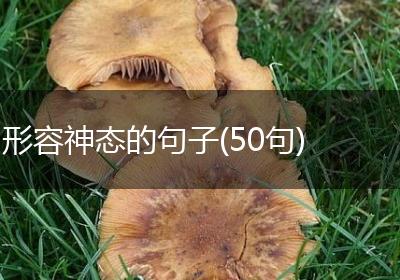 形容神态的句子(50句)