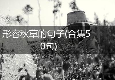 形容秋草的句子(合集50句)