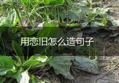 用恋旧怎么造句子