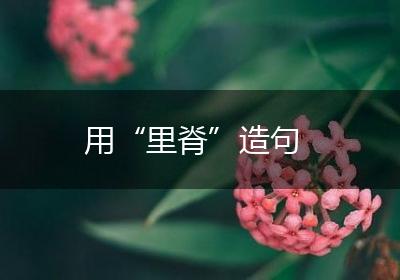 用“里脊”造句