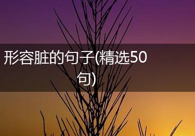 形容脏的句子(精选50句)