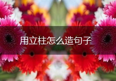 用立柱怎么造句子