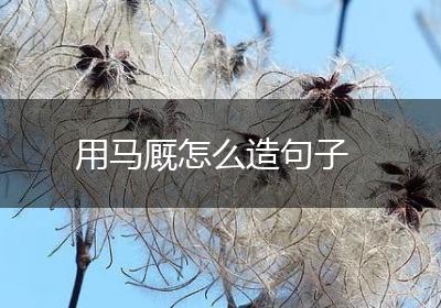 用马厩怎么造句子