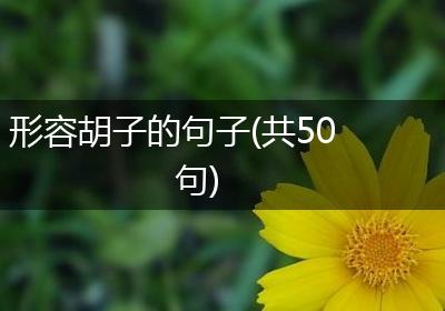 形容胡子的句子(共50句)