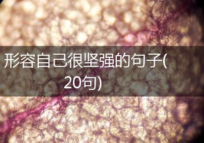 形容自己很坚强的句子(20句)