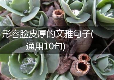 形容脸皮厚的文雅句子(通用10句)