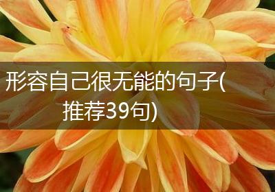 形容自己很无能的句子(推荐39句)