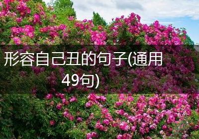 形容自己丑的句子(通用49句)