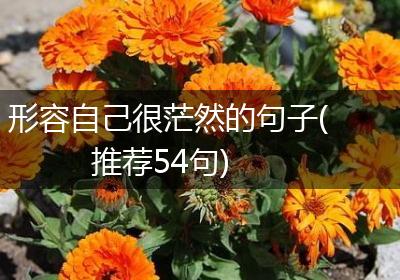 形容自己很茫然的句子(推荐54句)