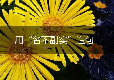 用“名不副实”造句