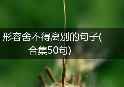 形容舍不得离别的句子(合集50句)