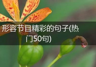 形容节目精彩的句子(热门50句)
