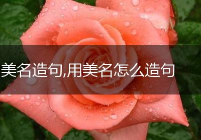 美名造句,用美名怎么造句